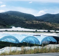 a group of blue tents on the side of a road