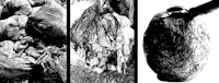 a black and white photo of several bags hanging from a tree